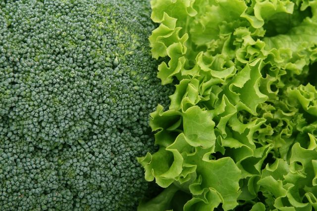 Best organic produce suppliers